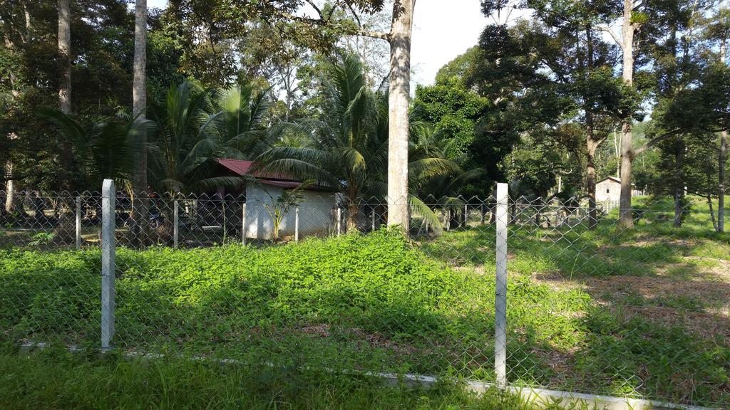 Chalet Kampong Semawar Kuala Kangsar Exterior foto
